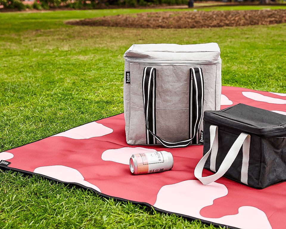 Create Your Own Insta-Worthy Picnic Set Up