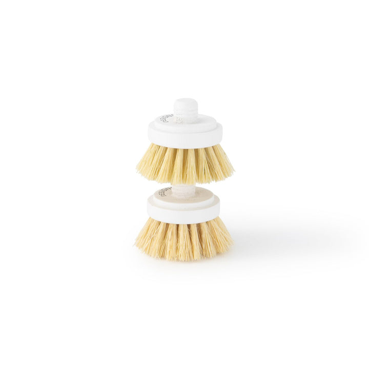 DESIGNSTUFF Eco Dish Brush Replacement Head, White (Set of 2)