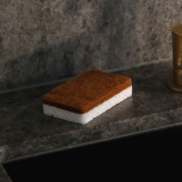 Natural lighting, close up view of a sponge placed on a kitchen sink.