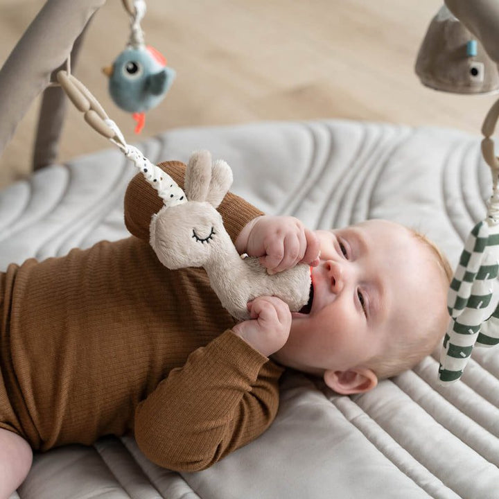 Baby play gym and mat is great for play time and baby sensory.